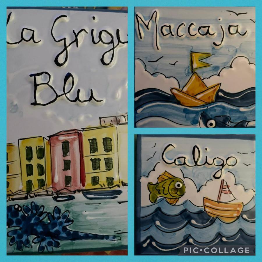 La Grigua Blu Lejlighed Riomaggiore Eksteriør billede
